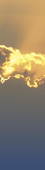 tropicana resorts map